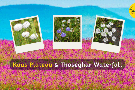 Kaas Plateau and Thoseghar Waterfall Trip, 2025