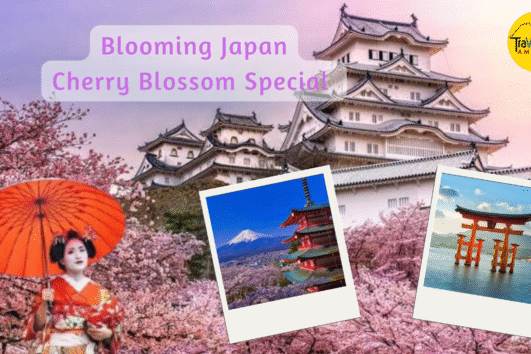 Blooming Japan: Cherry Blossom Special, 2026