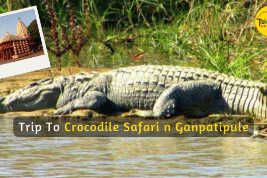 Crocodile Safari & Ganpatipule Trip 2025